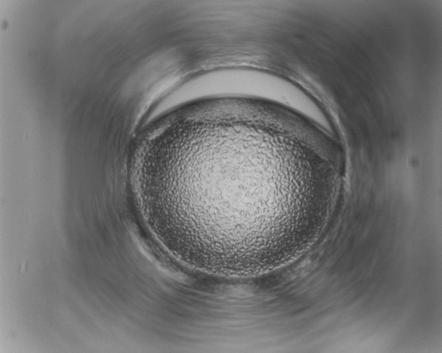 X0000058140107200509261322