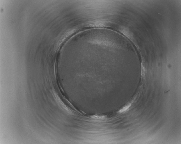 X0000058140109200509261322