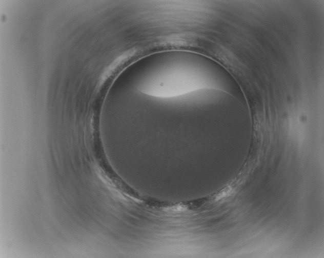 X0000058140112200509261322