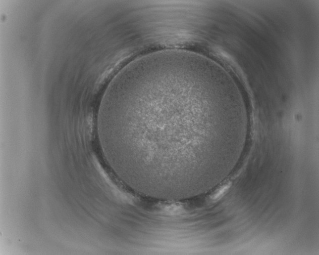 X0000058140113200509261322