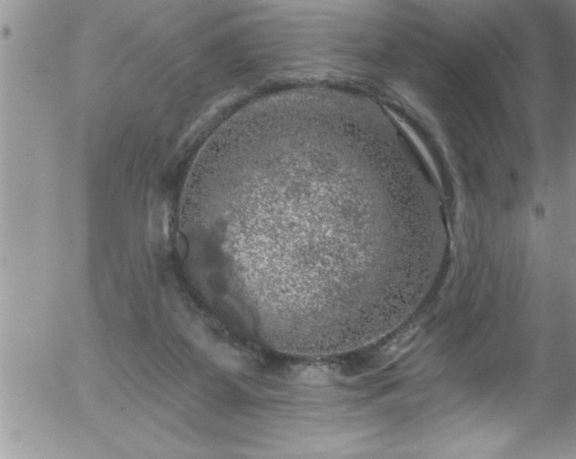 X0000058140115200509261322