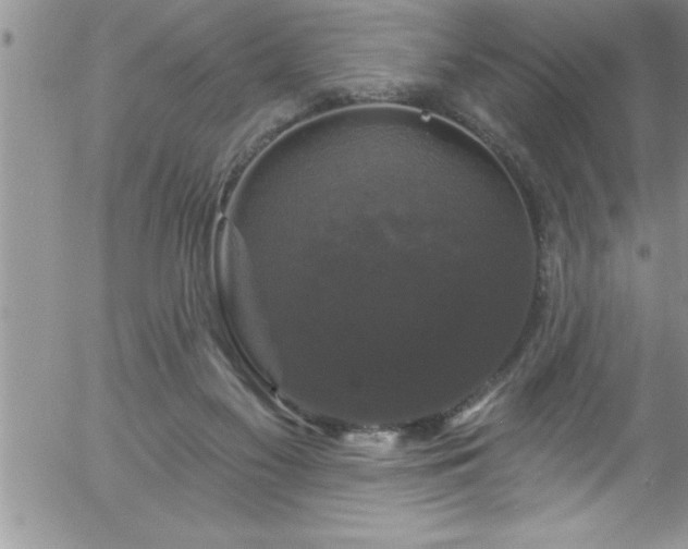 X0000058140117200509261322