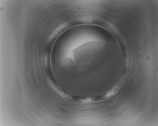 X0000058140120200509261322