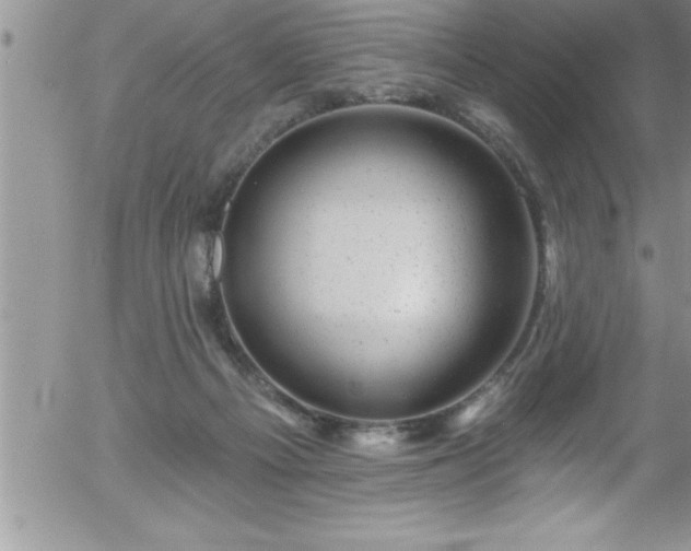 X0000058140121200509261322