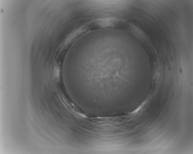 X0000058140124200509261322