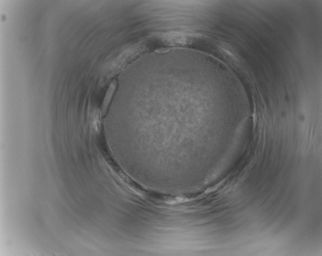 X0000058140125200509261322