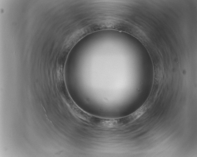 X0000058140126200509261322