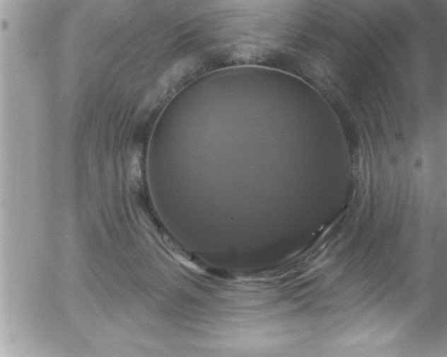 X0000058140127200509261322