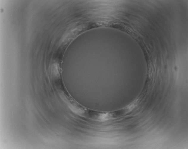 X0000058140130200509261322