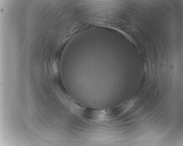 X0000058140131200509261322