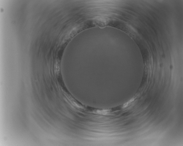 X0000058140134200509261322