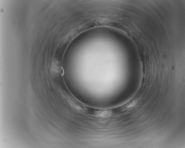 X0000058140135200509261322