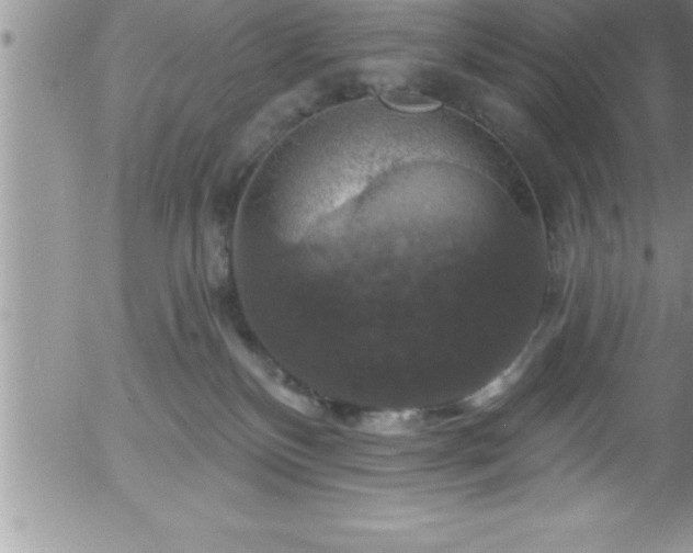 X0000058140136200509261322