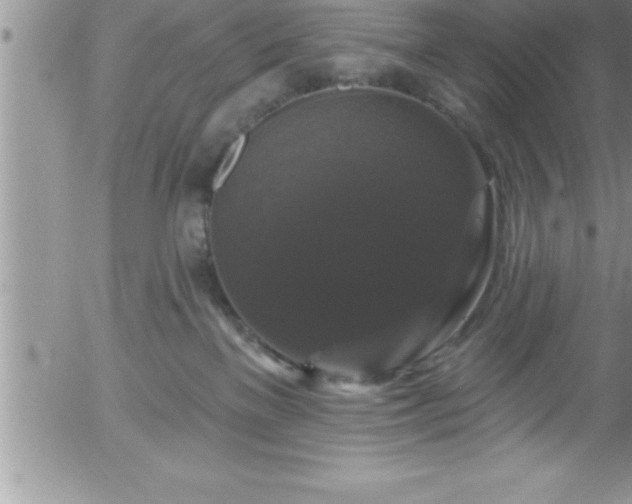 X0000058140137200509261322