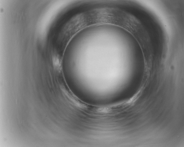 X0000058140142200509261321