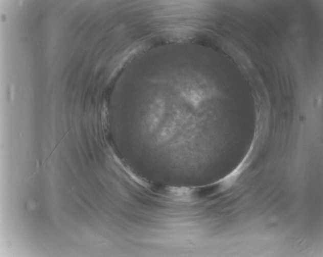 X0000058140144200509261321