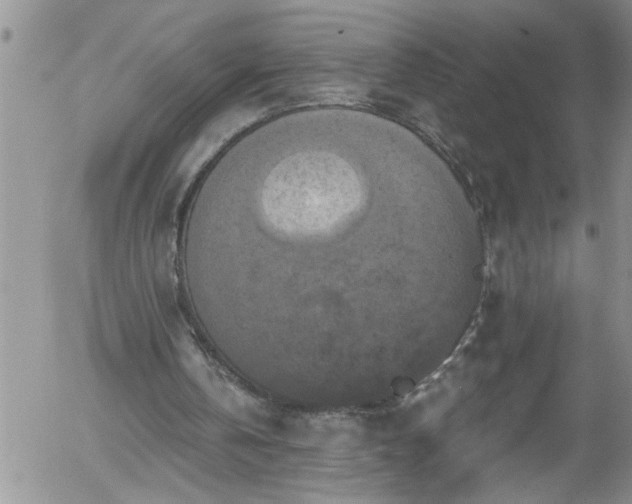 X0000058140146200509261321