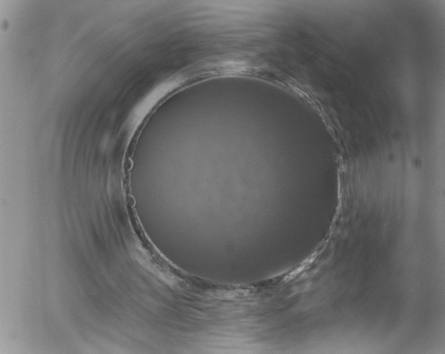 X0000058140147200509261321