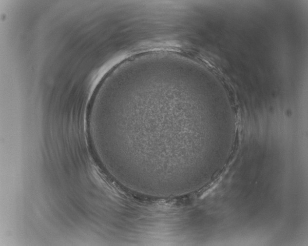 X0000058140148200509261321