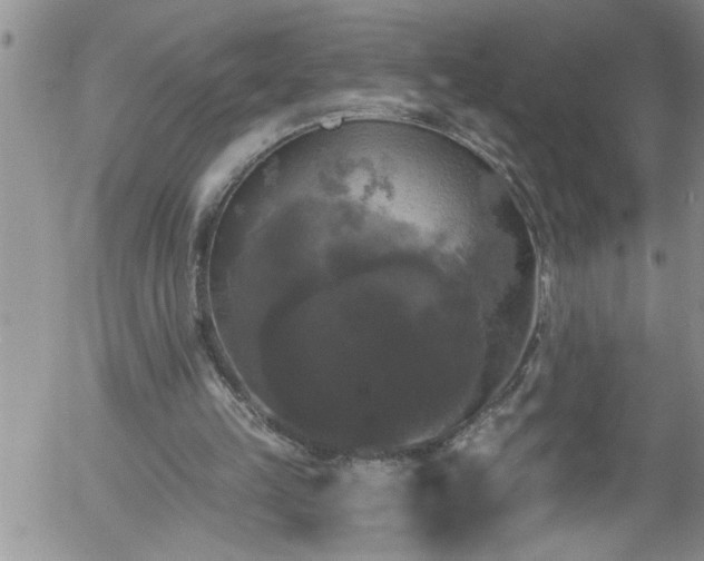 X0000058140149200509261321