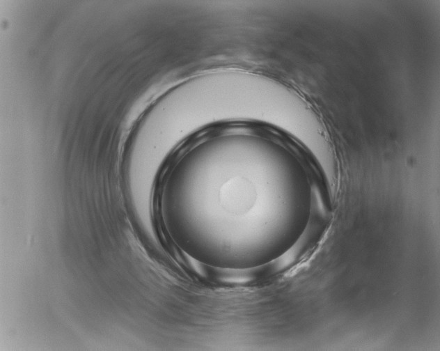 X0000058140150200509261321