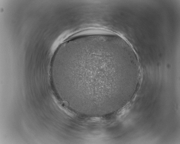 X0000058140151200509261321