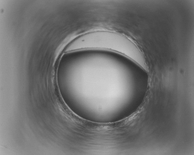 X0000058140152200509261321