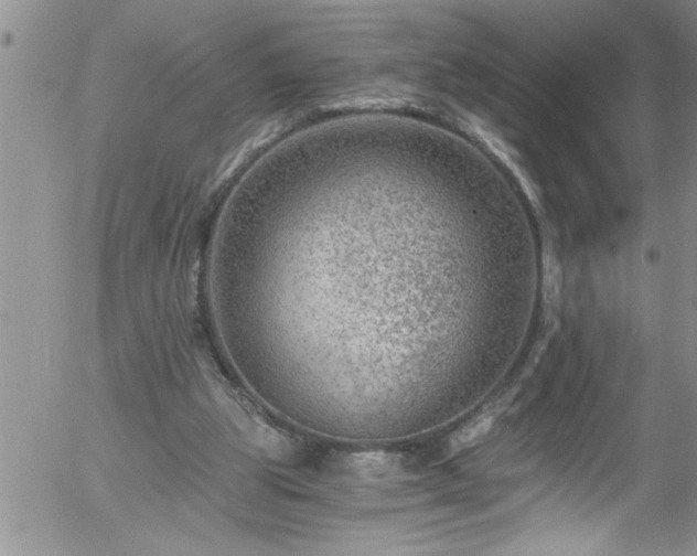 X0000058140153200509261321