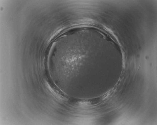 X0000058140154200509261321