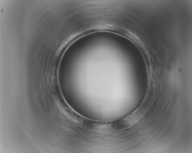 X0000058140155200509261321