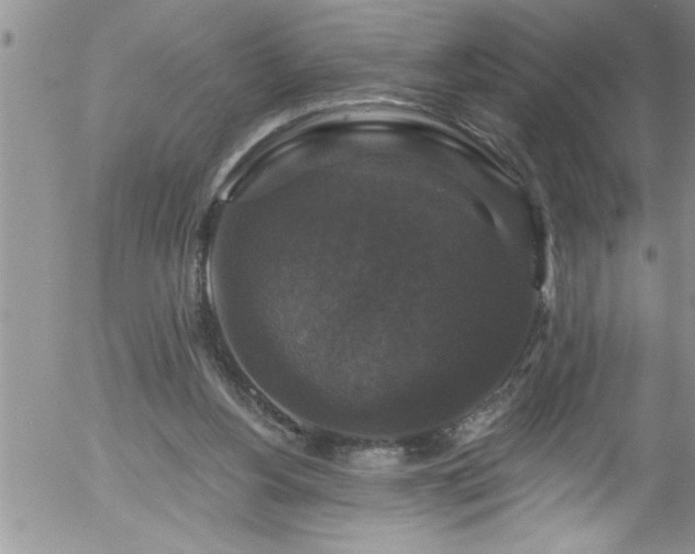 X0000058140156200509261321