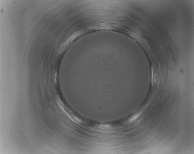 X0000058140157200509261321