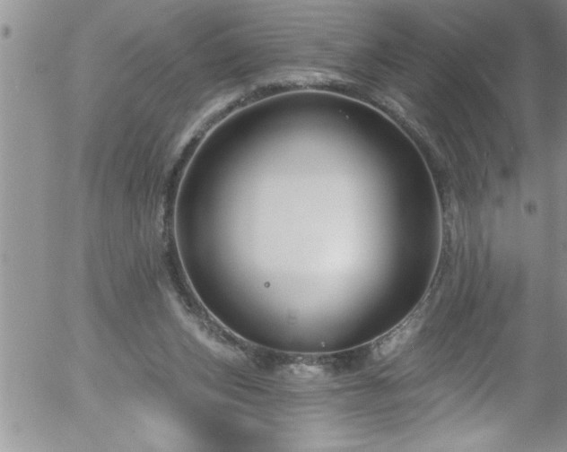 X0000058140159200509261321