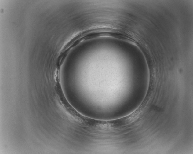 X0000058140160200509261321