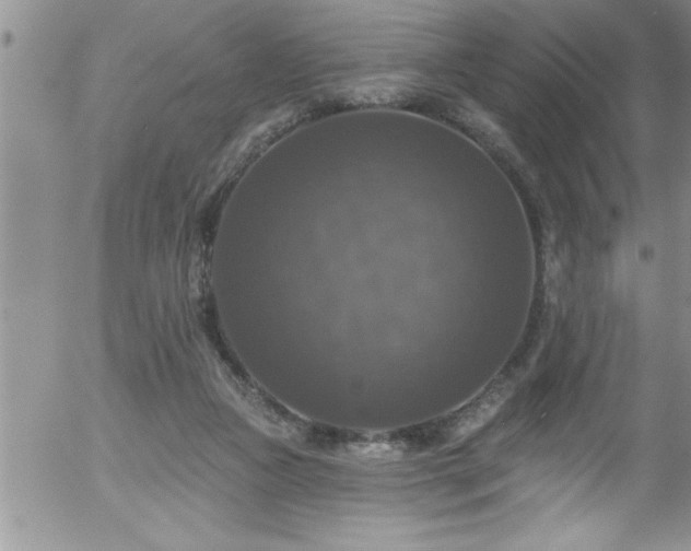 X0000058140161200509261321