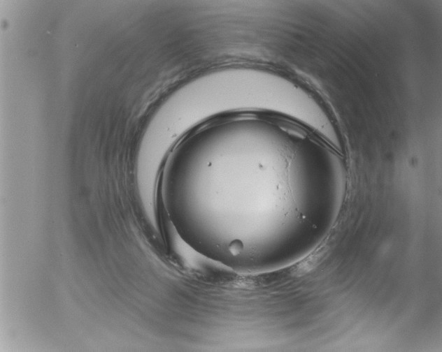 X0000058140162200509261321