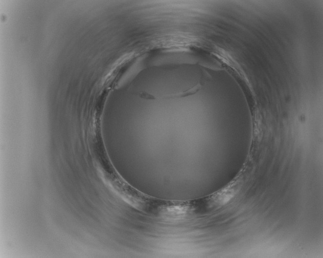 X0000058140163200509261321