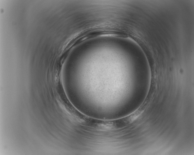 X0000058140164200509261321