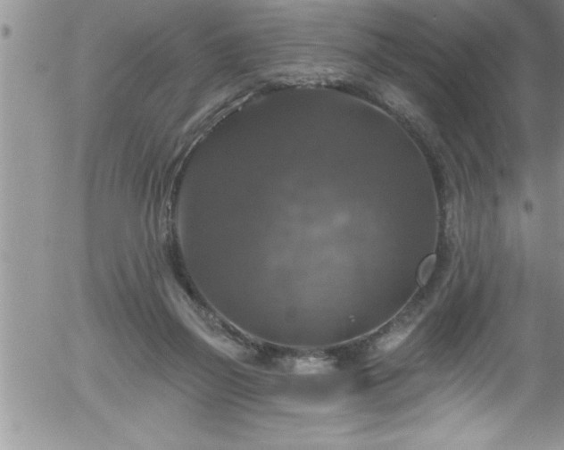 X0000058140165200509261321