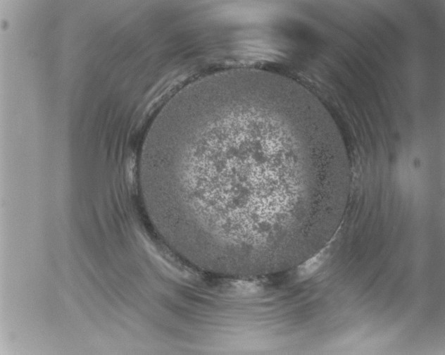 X0000058140166200509261321