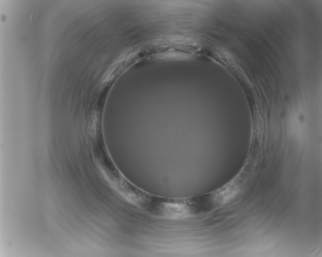 X0000058140167200509261321