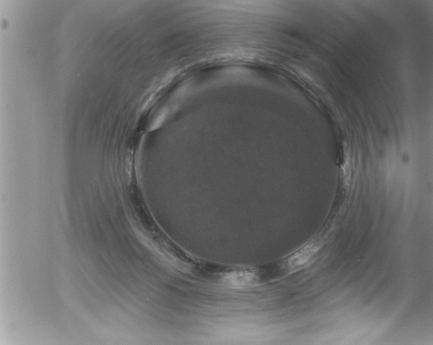 X0000058140168200509261321