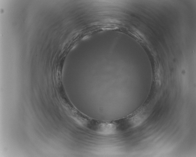 X0000058140169200509261321