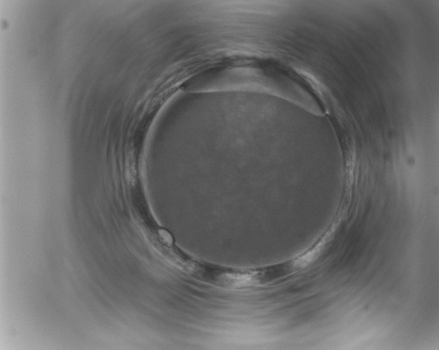 X0000058140170200509261321