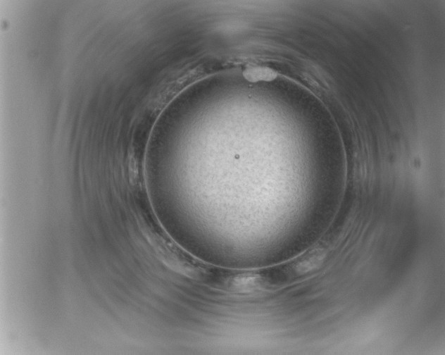 X0000058140173200509261321