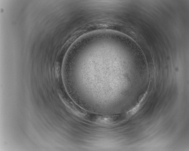 X0000058140174200509261321