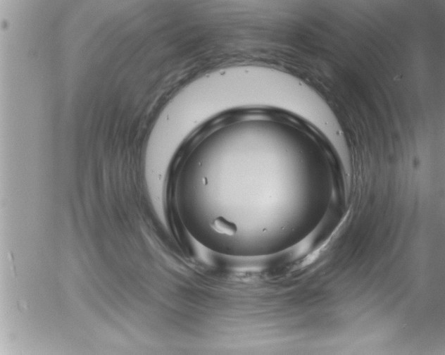 X0000058140175200509261321