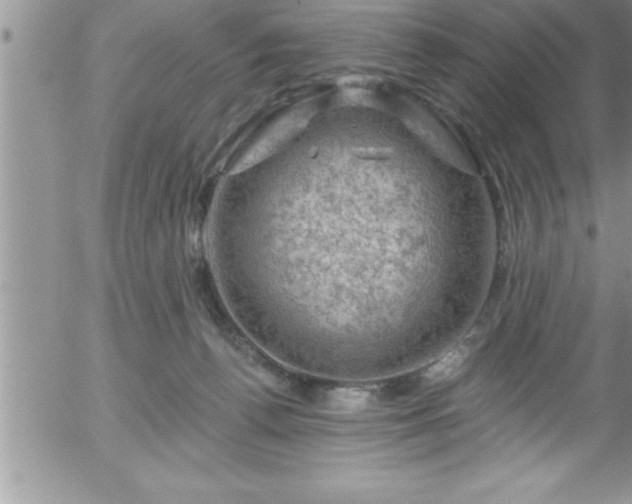 X0000058140176200509261321