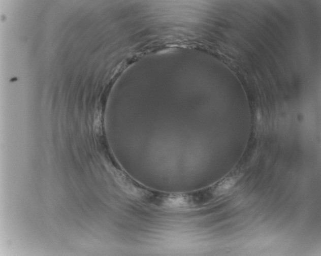 X0000058140177200509261321