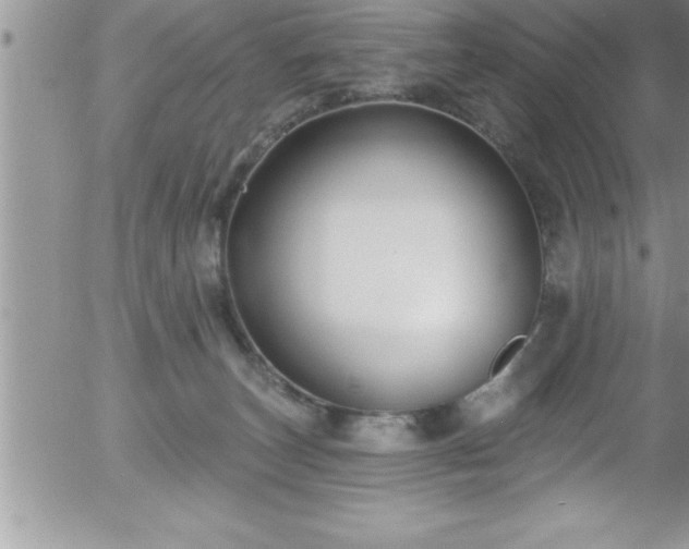 X0000058140179200509261321